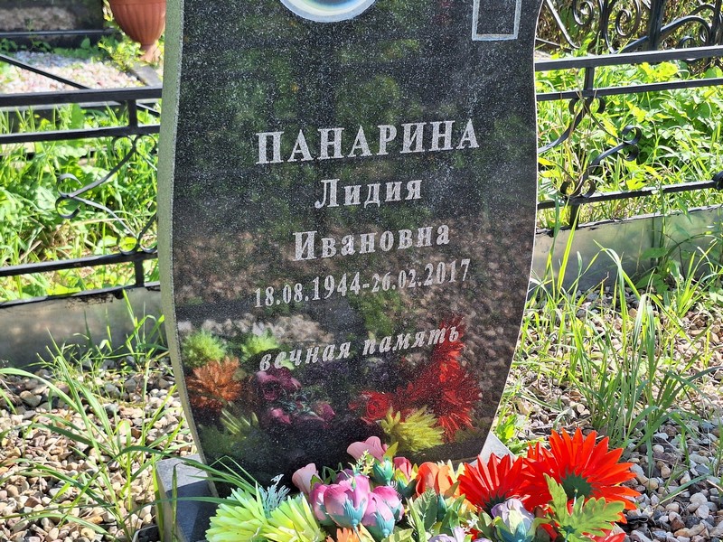 Панарина