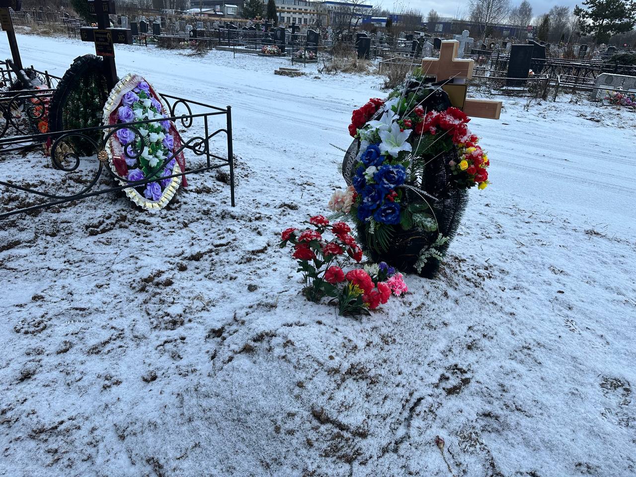 Мохов