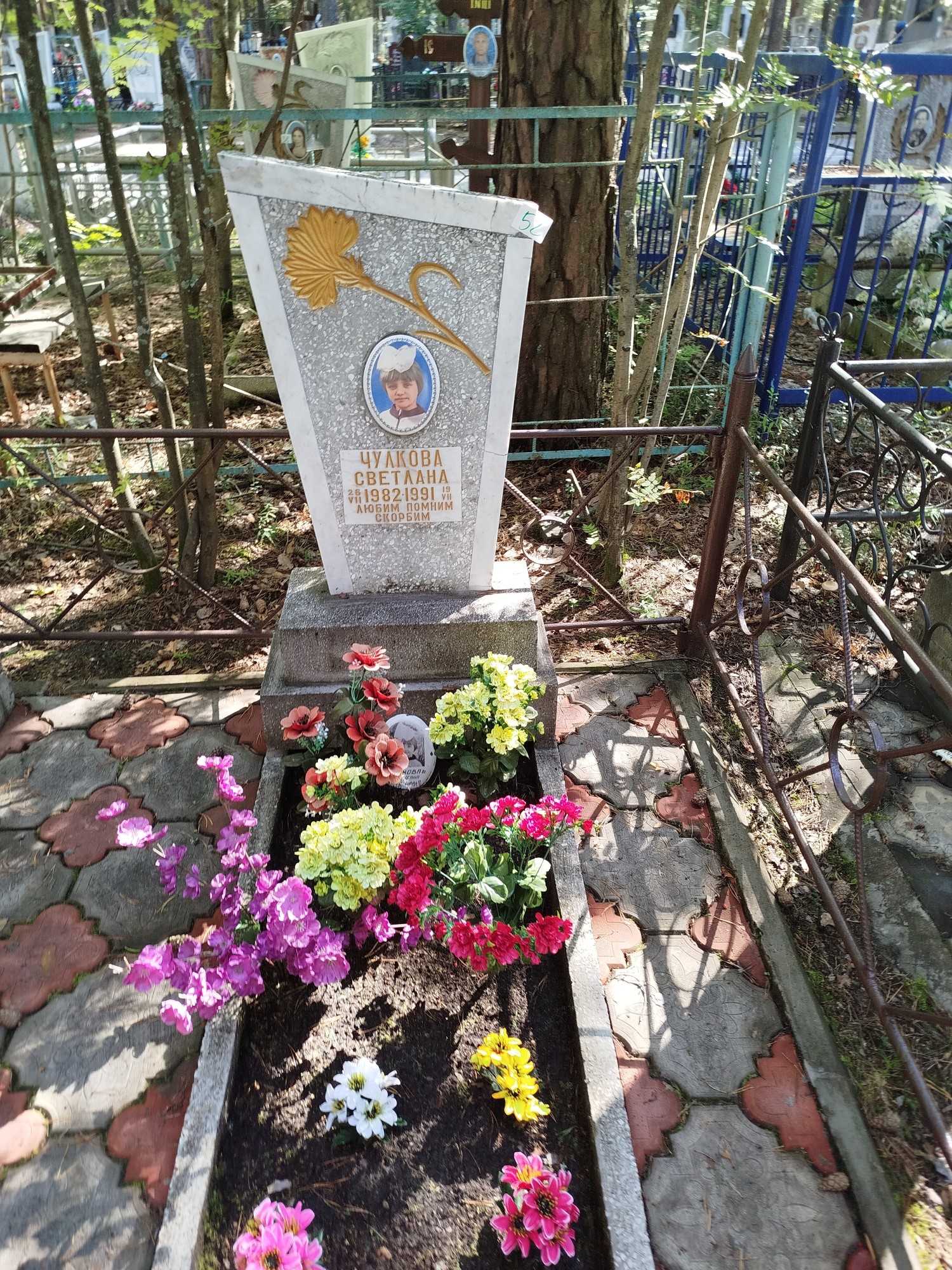 Чулкова Светлана