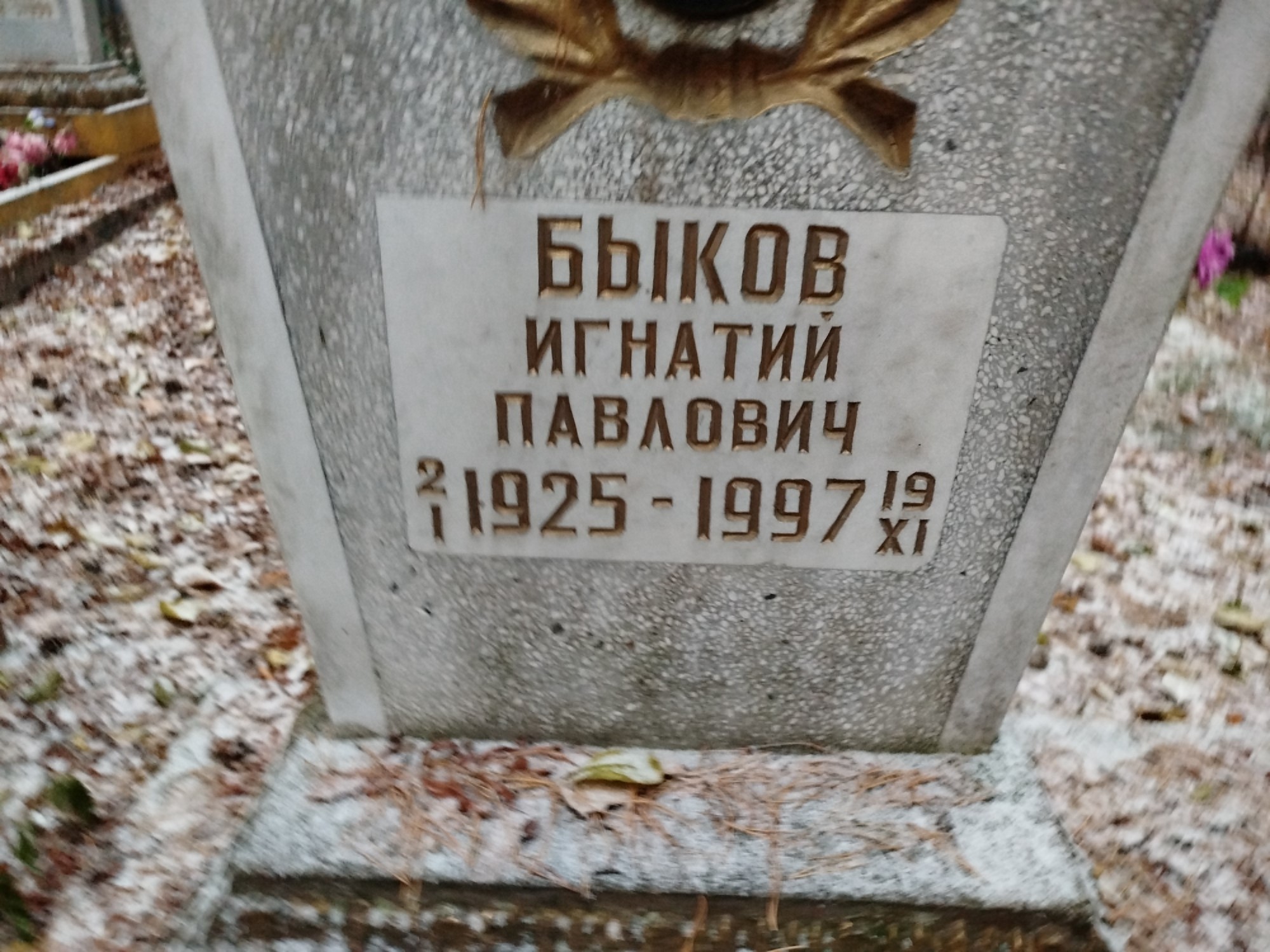 Быков Игнатий Павлович