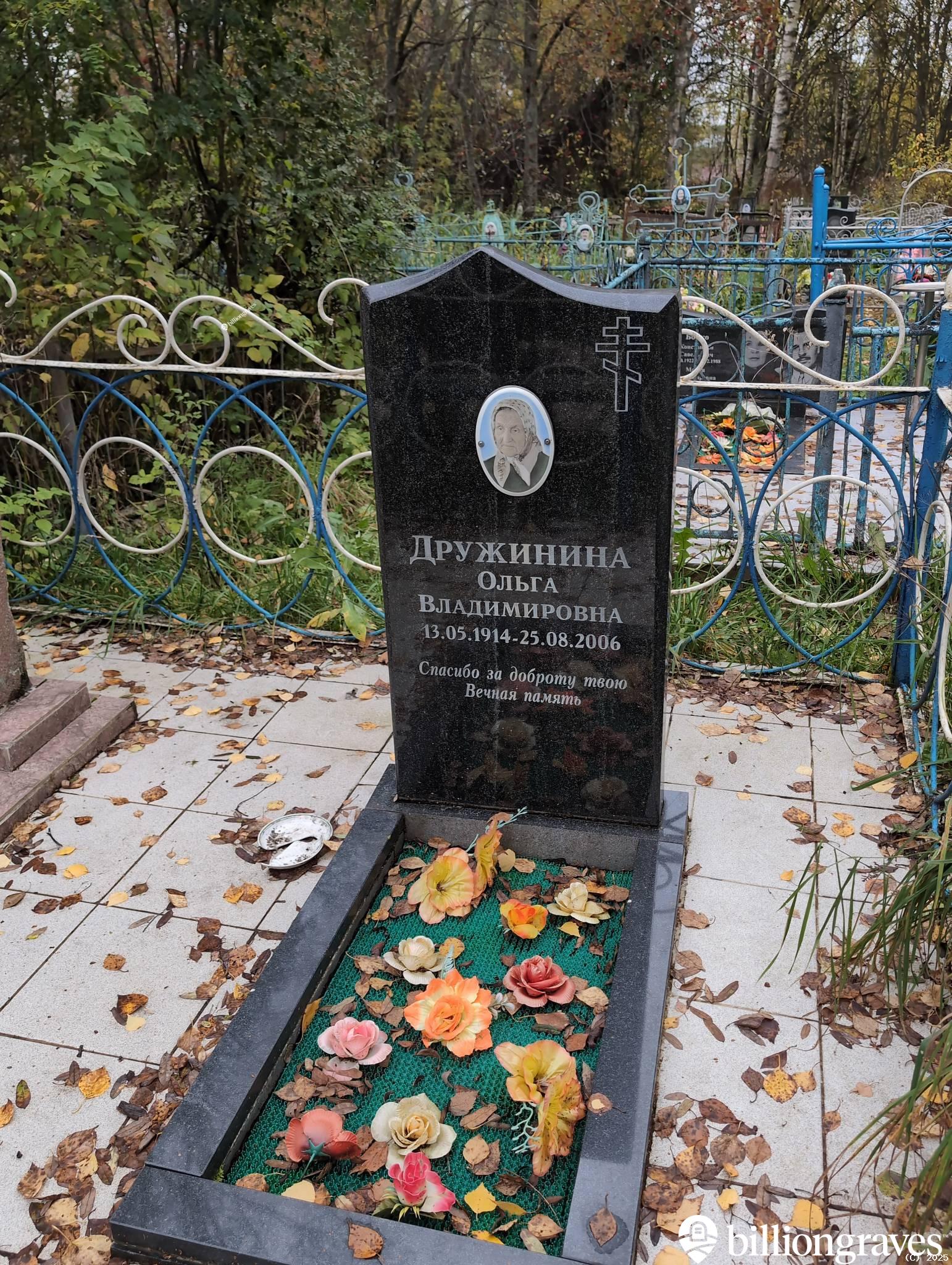 Дружинина Ольга Владимировна