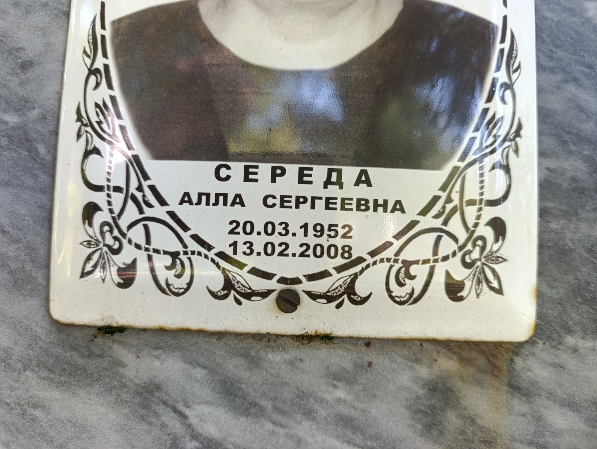 Середа Алла Сергеевна