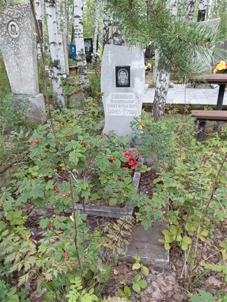 Синицын Владимир Анатольевич