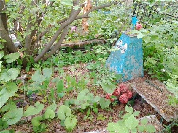 Чекунов Виктор Николаевич