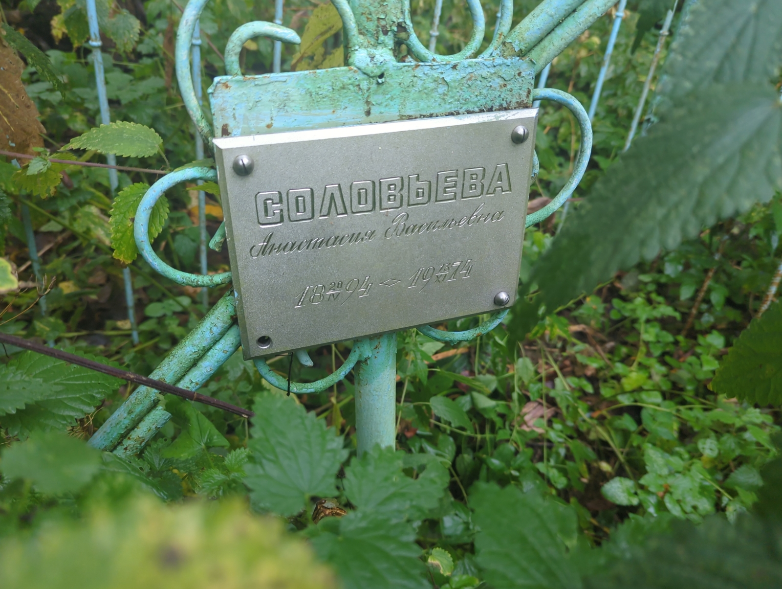 Соловьева Анастасия Васильевна