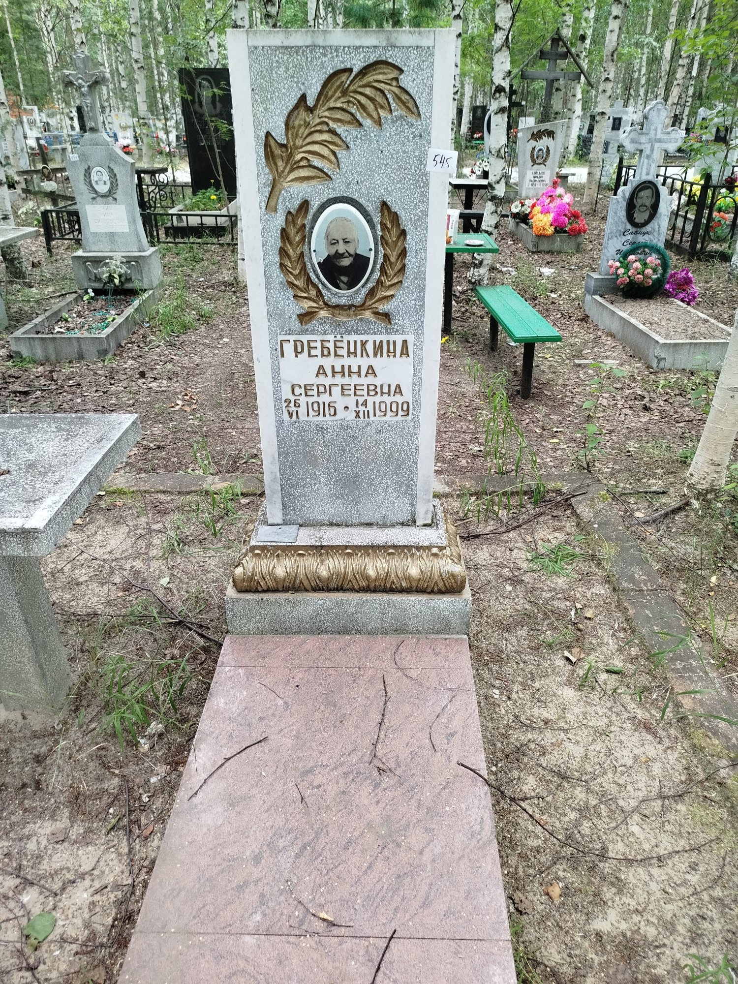 Гребёнкина Анна Сергеевна