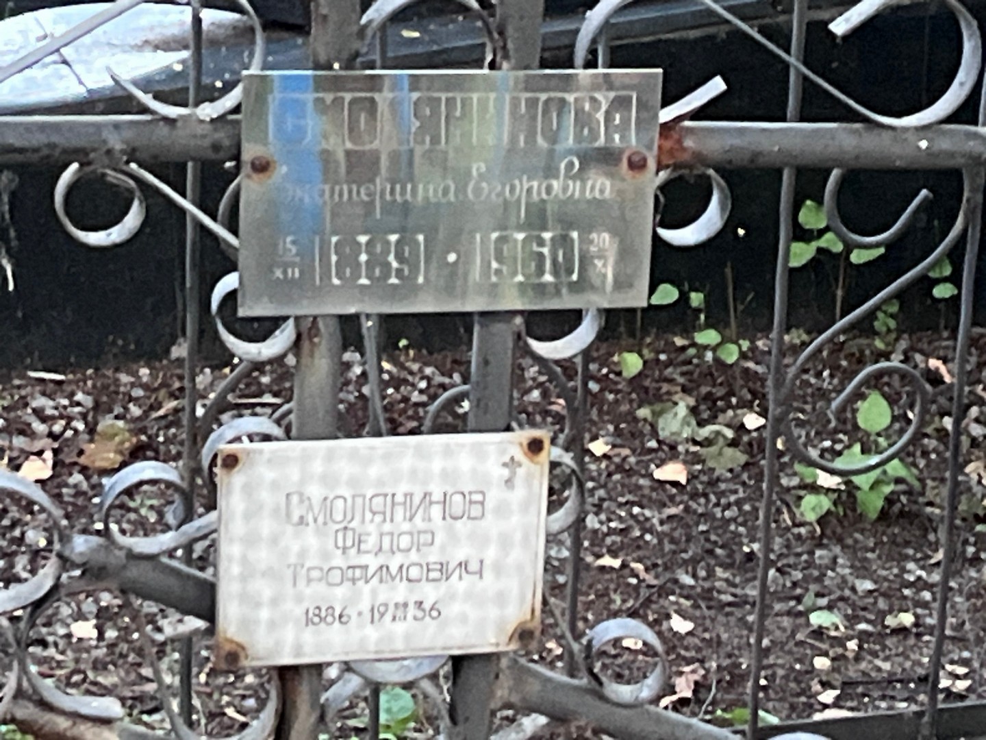 Смолянинова
