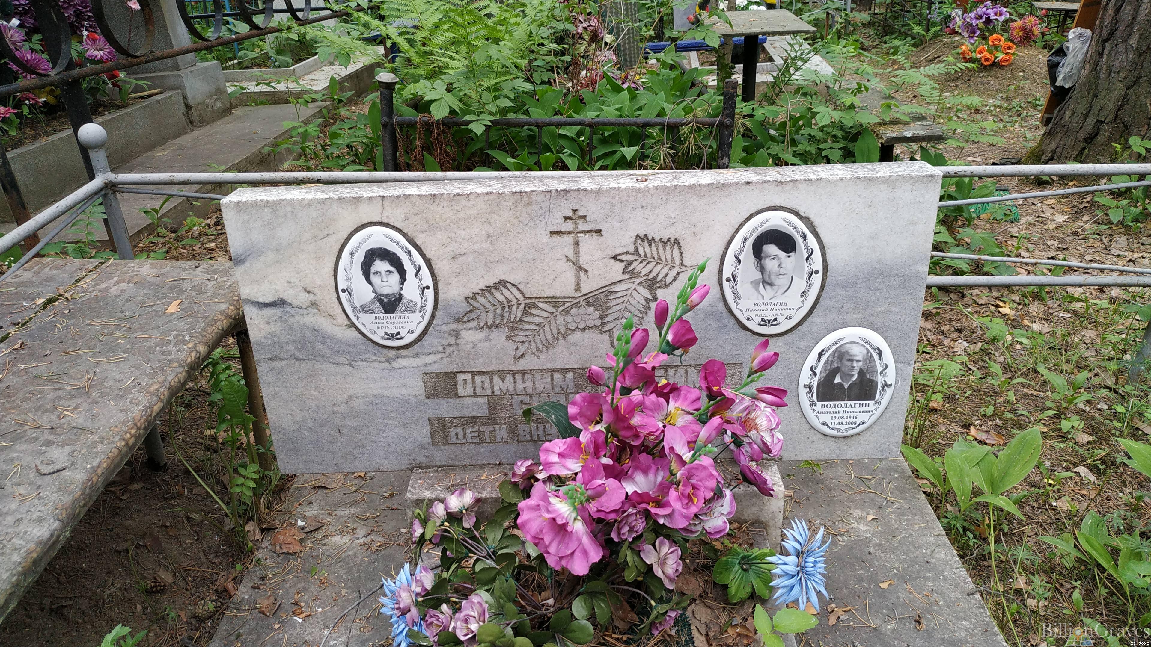 Водолагина Анна Сергеевна