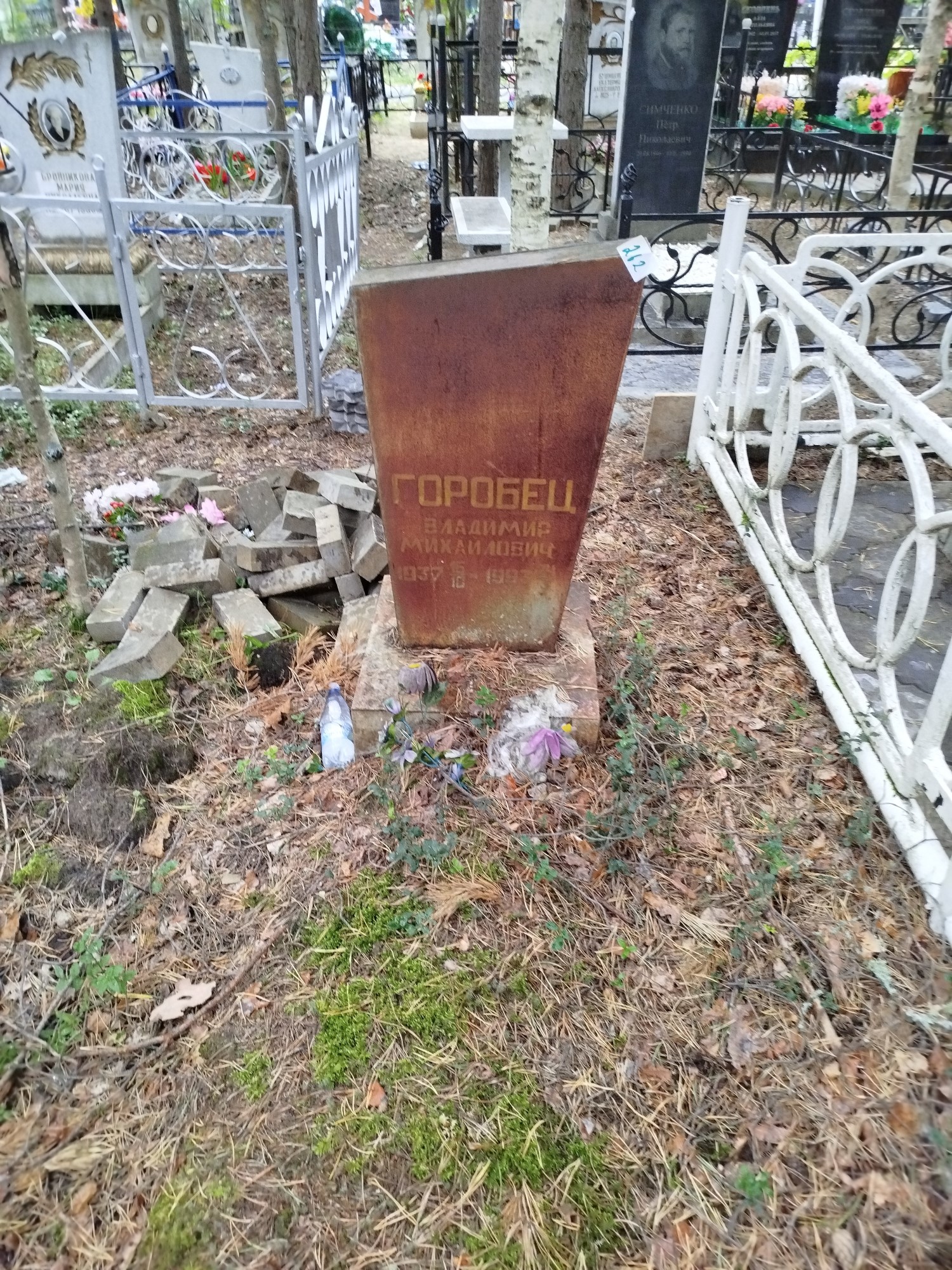 Горобец Владимир Михайлович
