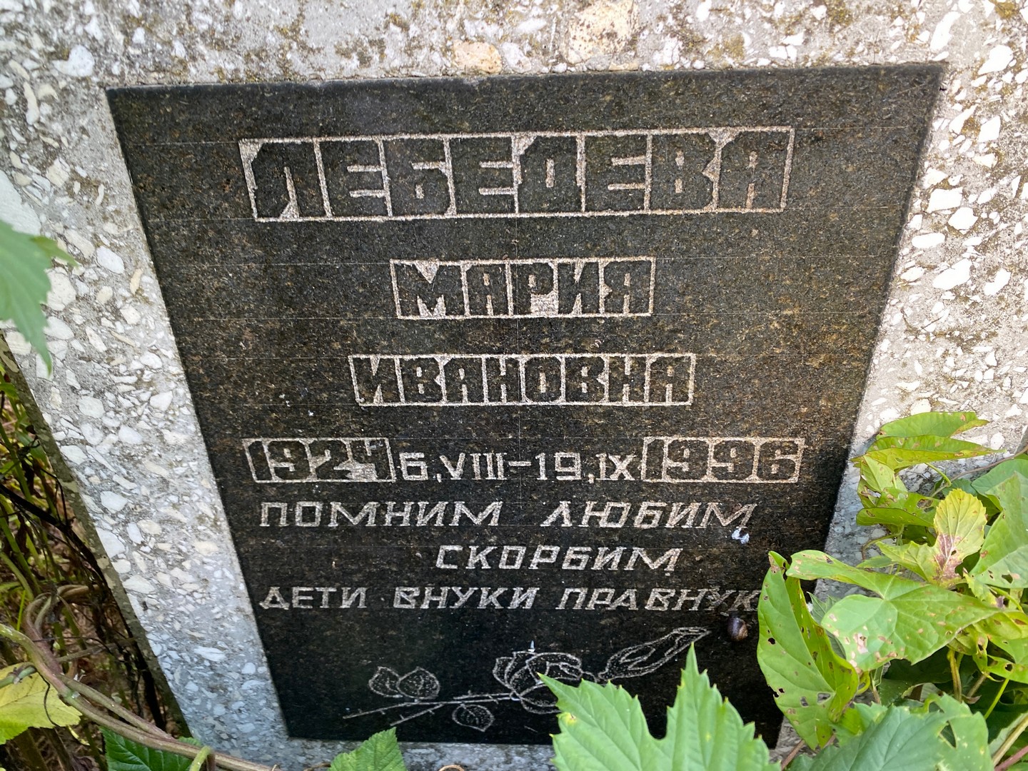 Лебедева
