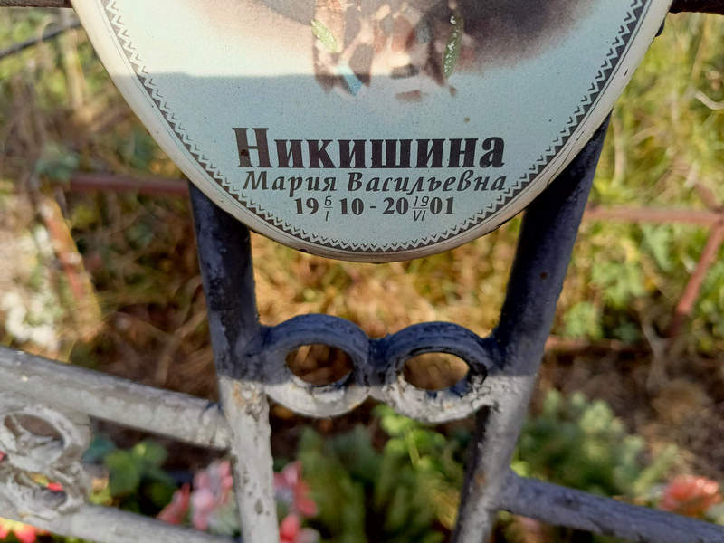 Никишина
