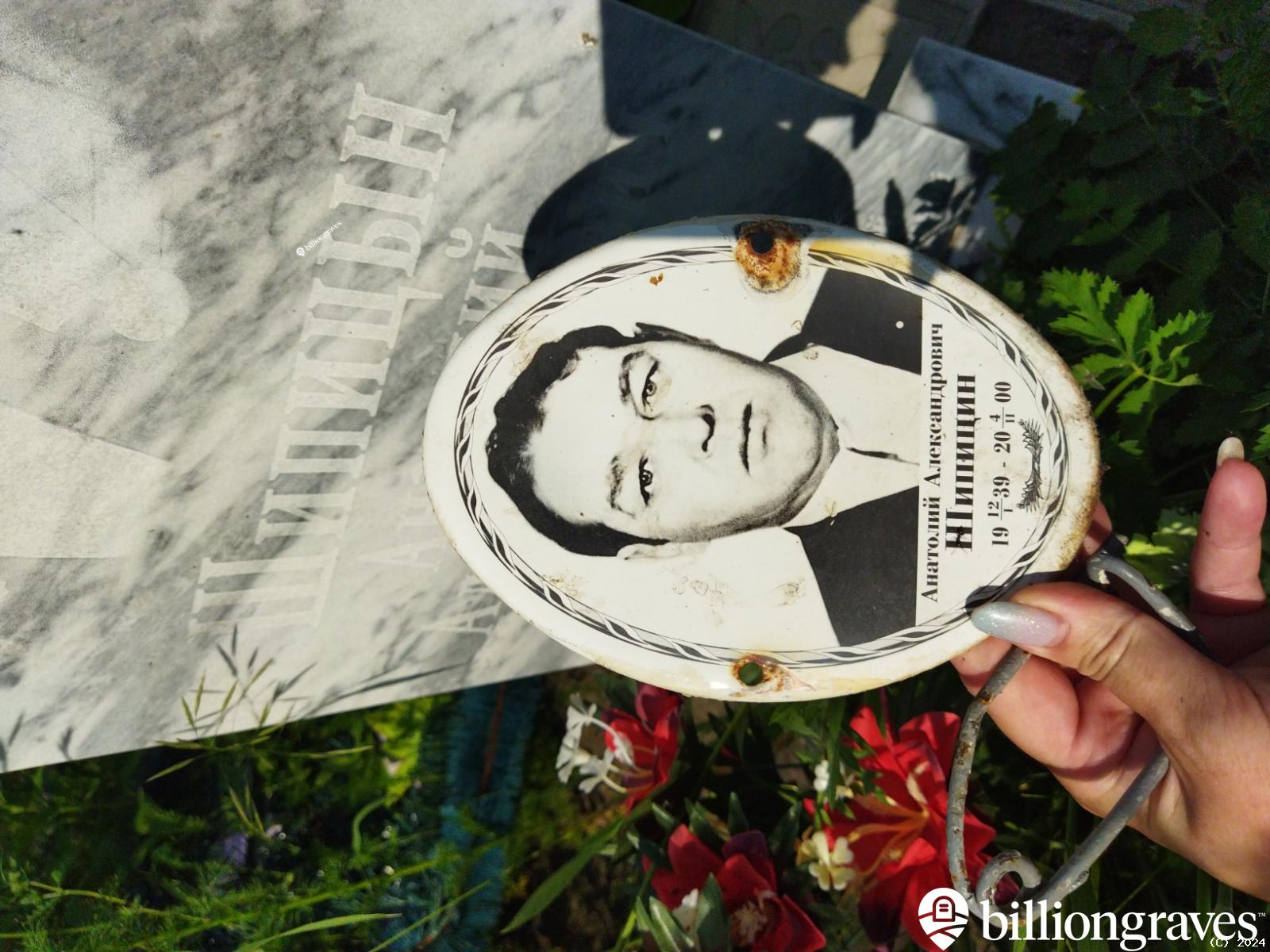 Шипицин Анатолий Александрович