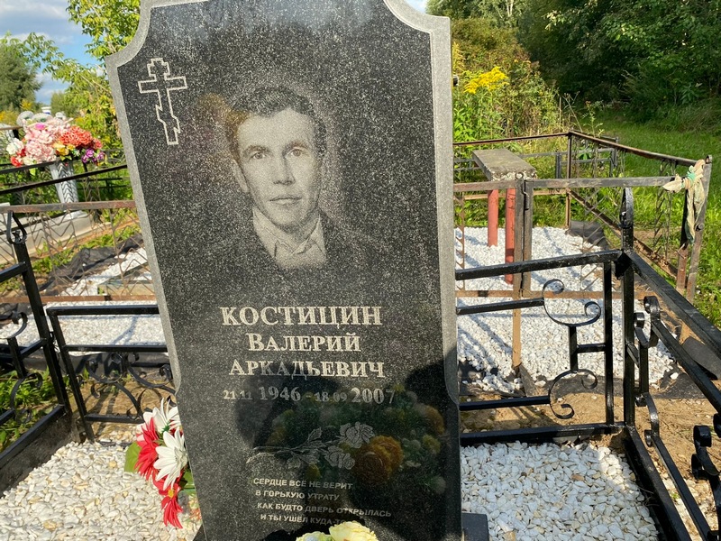 Костицин