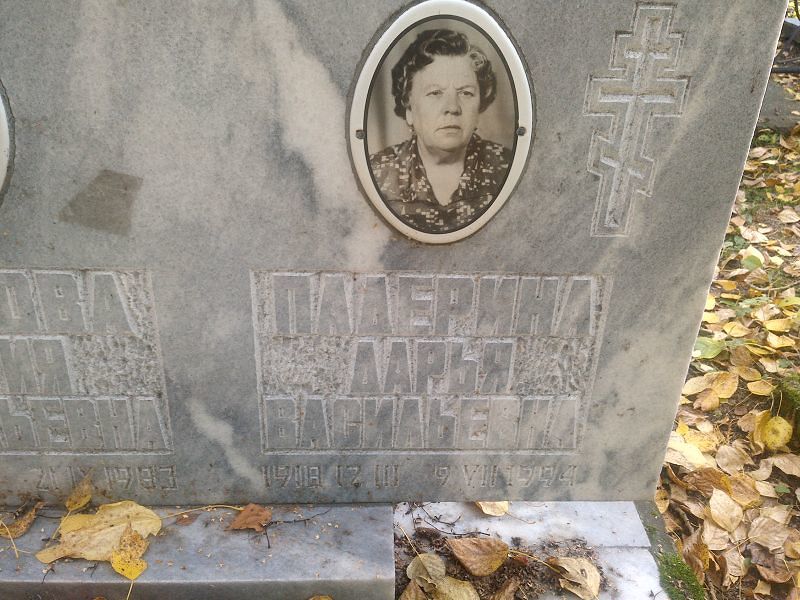 Падерина