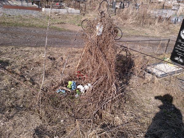 Соломонов Сергей Николаевич