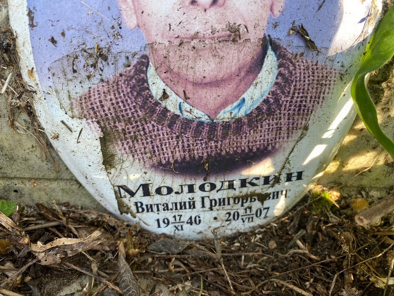 Молодкин