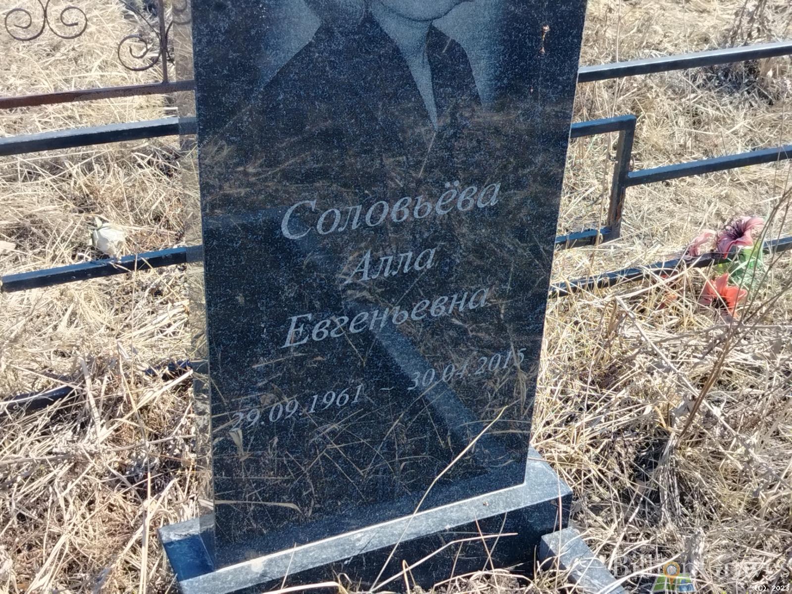 Соловьёва Алла Евгеньевна