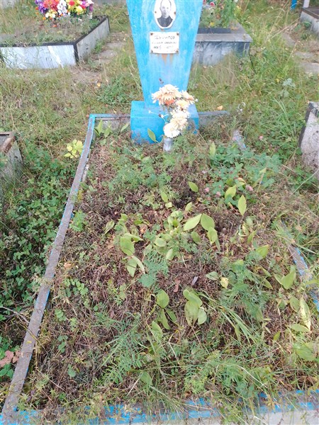 Шумилов Виссарион Васильевич