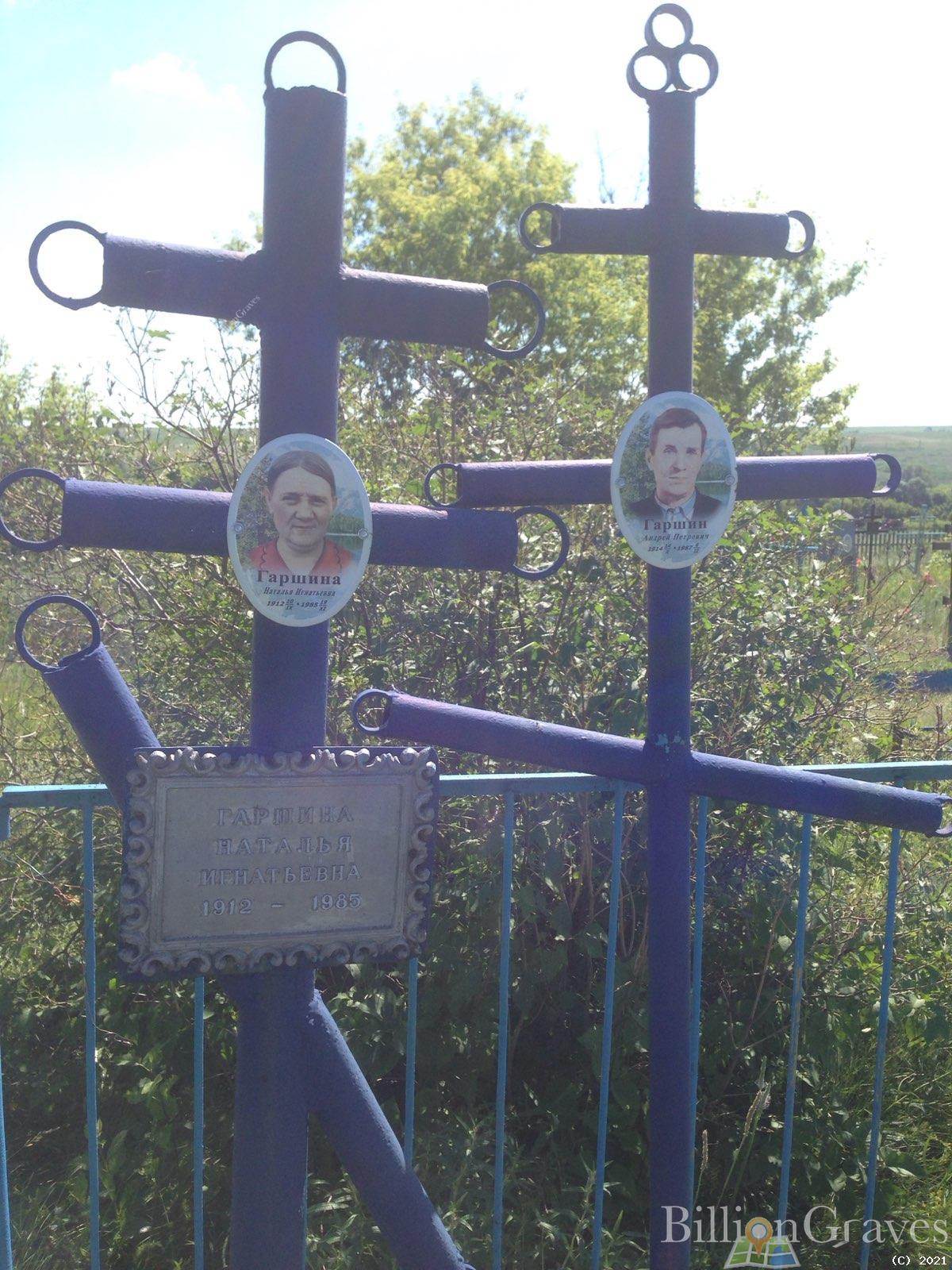 Гаршин Андрей Петрович
