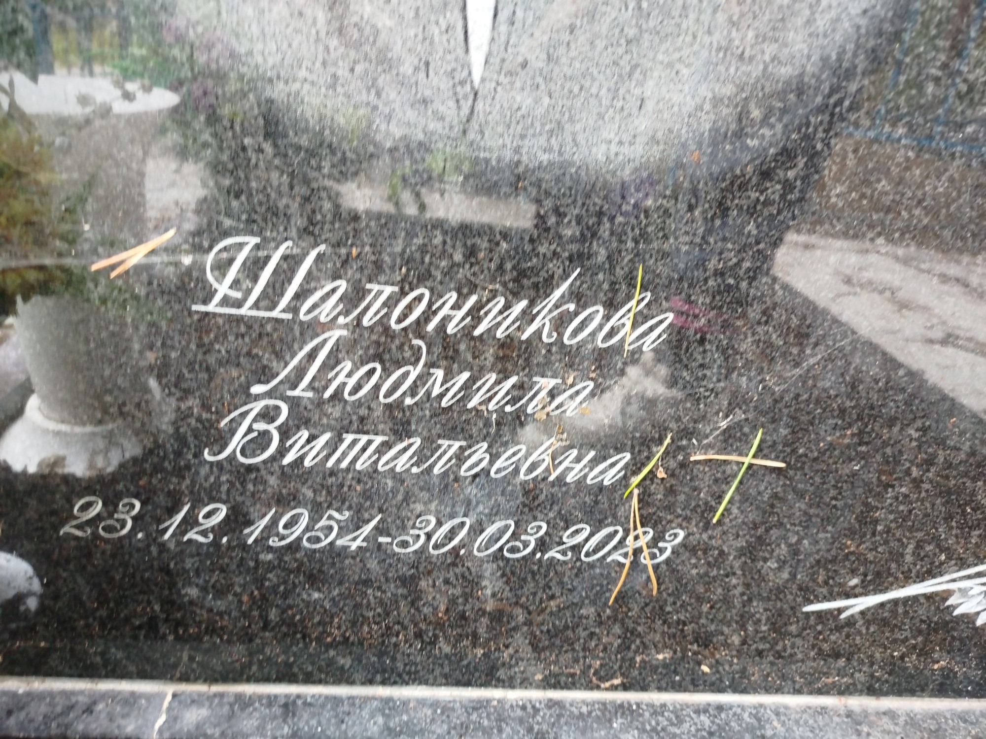 Шалоникова Людмила Витальевна