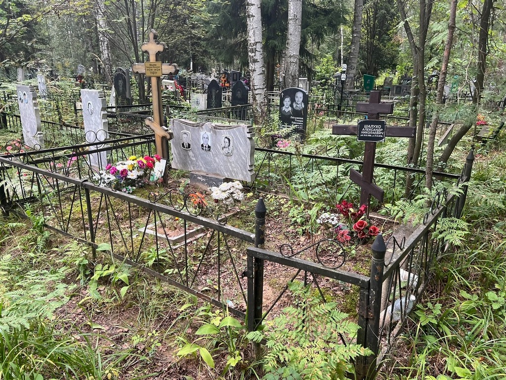 Шалухо Николай Романович