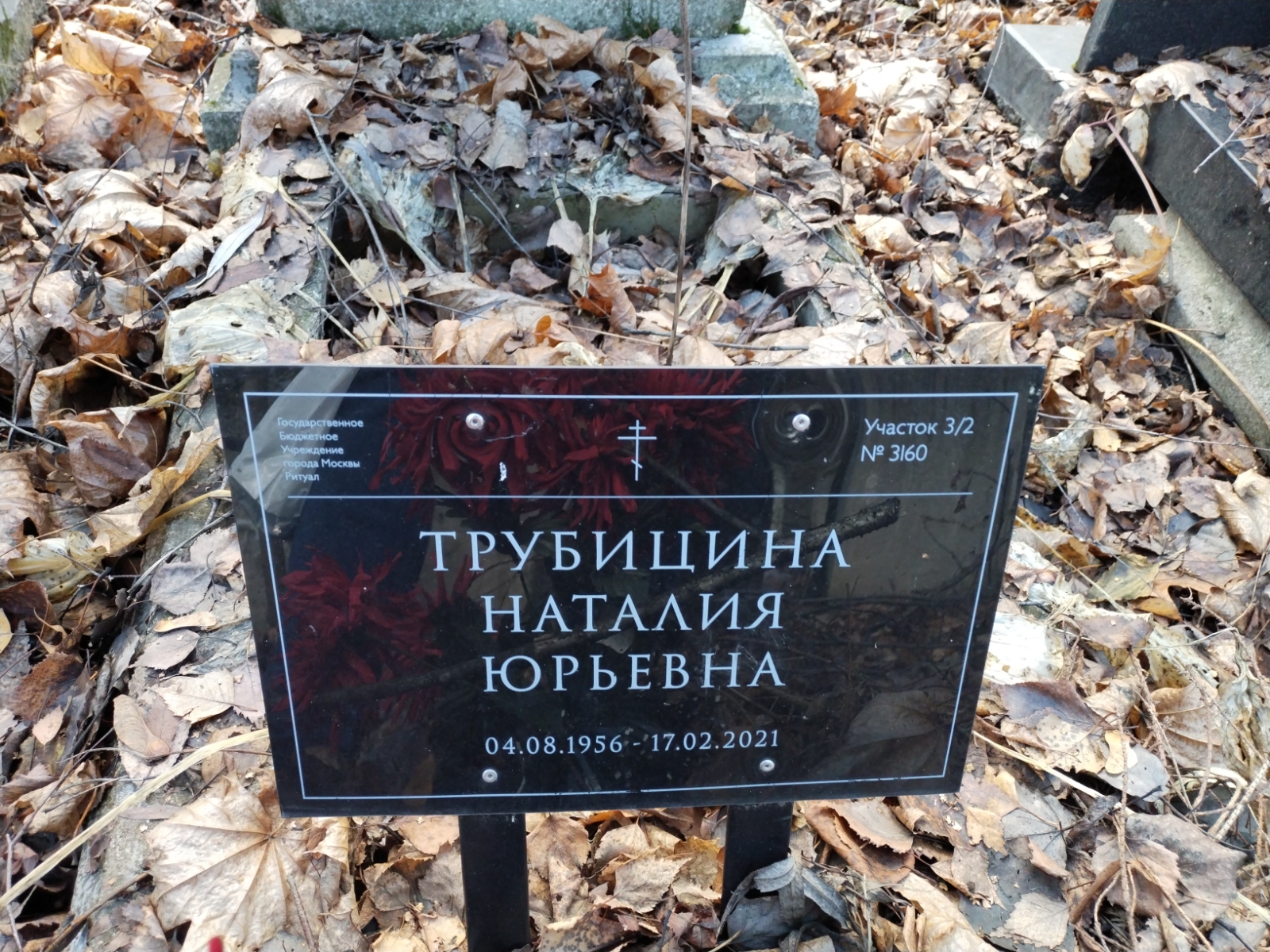 Трубицина Наталия Юрьевна