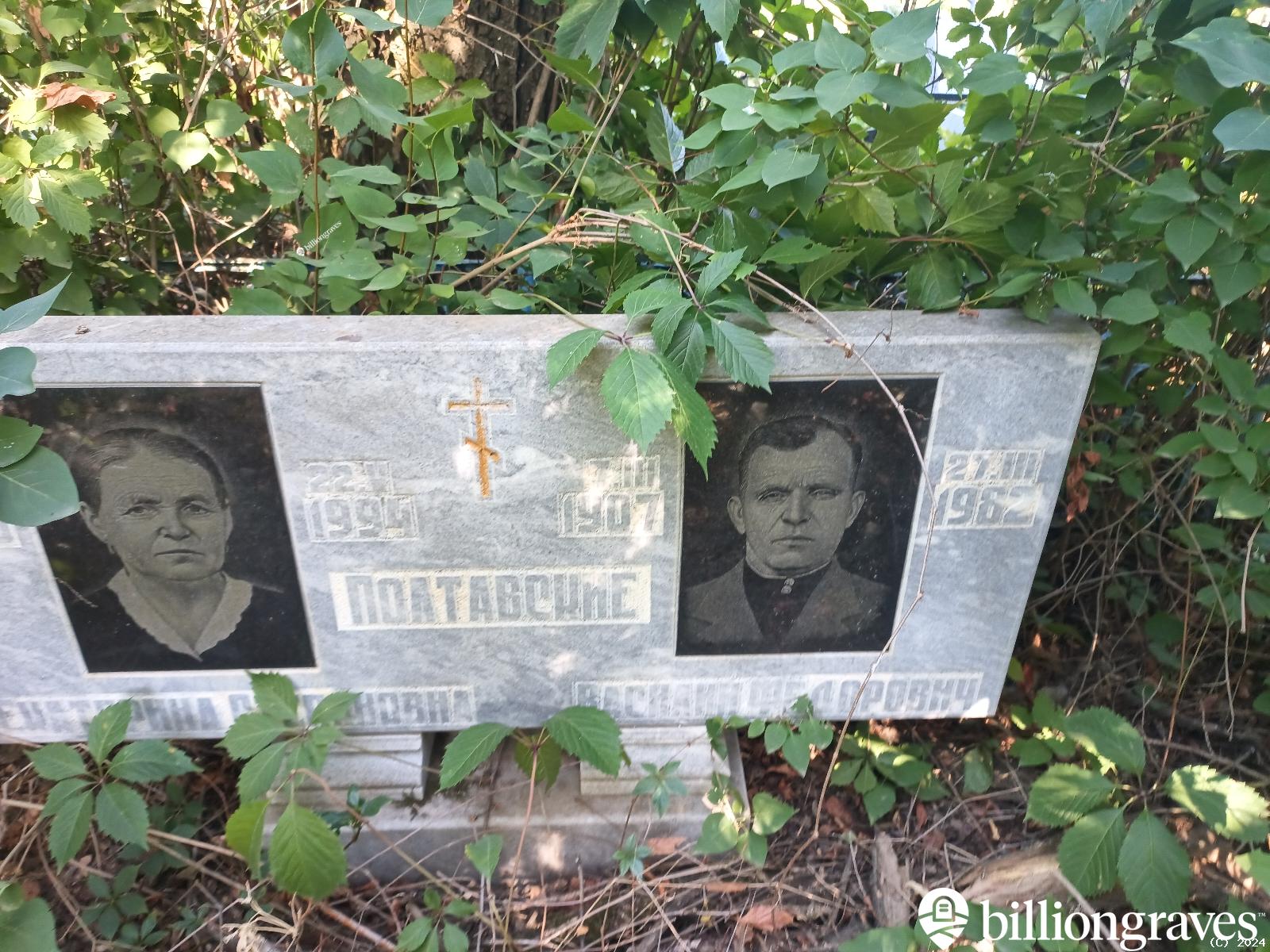 Полтавская Екатерина