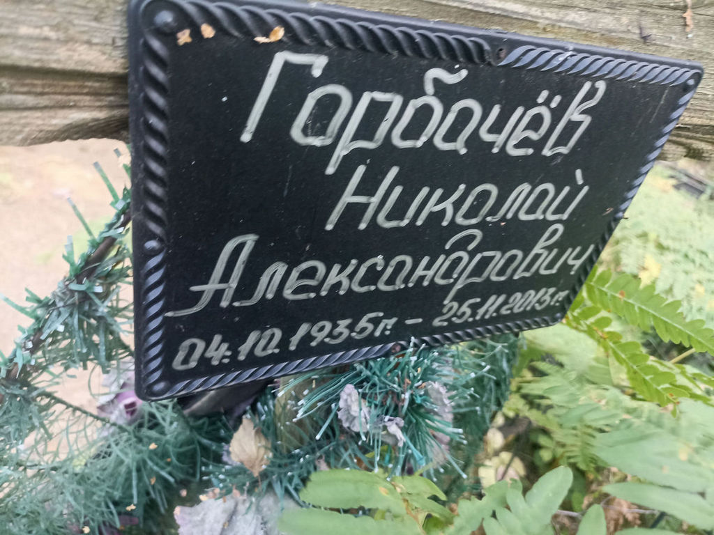 Горбачев Николай Александрович