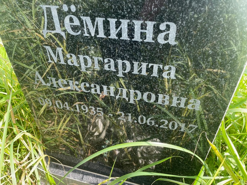Демина