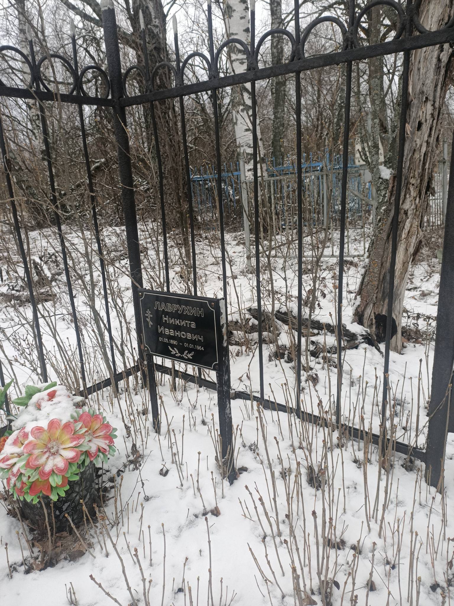 Лаврухин Никита Иванович