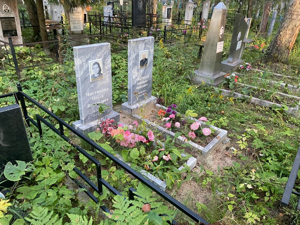 Чистякова Ольга Васильевна