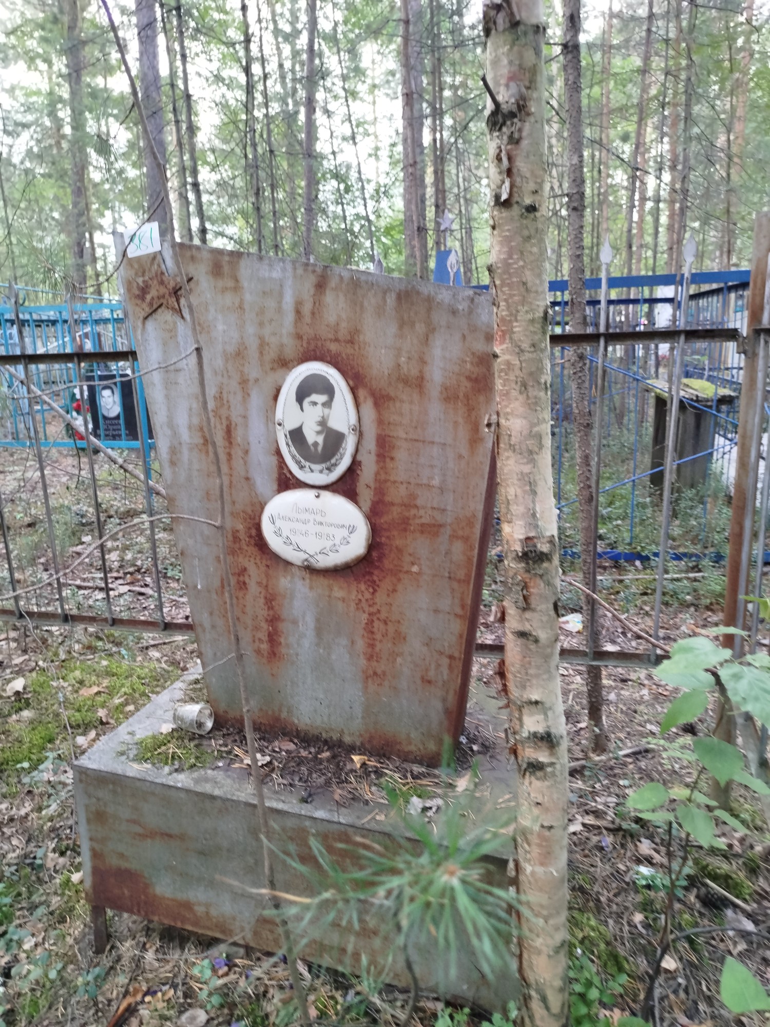 Лымарь Александр Викторович