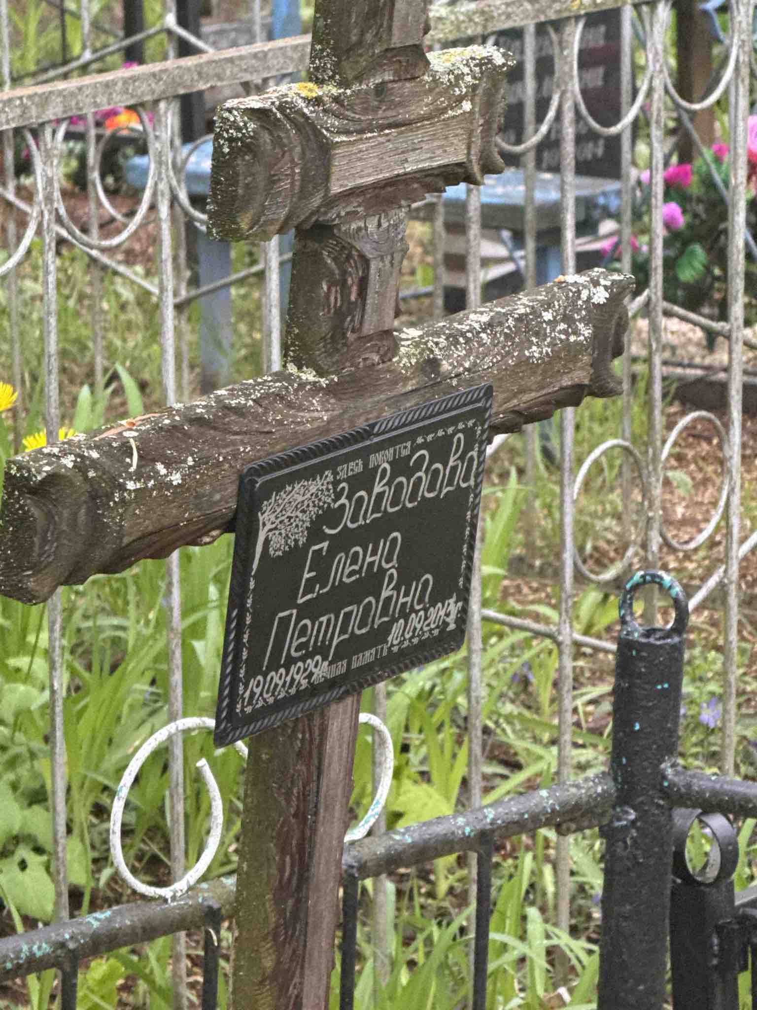 Заводова Елена Петровна