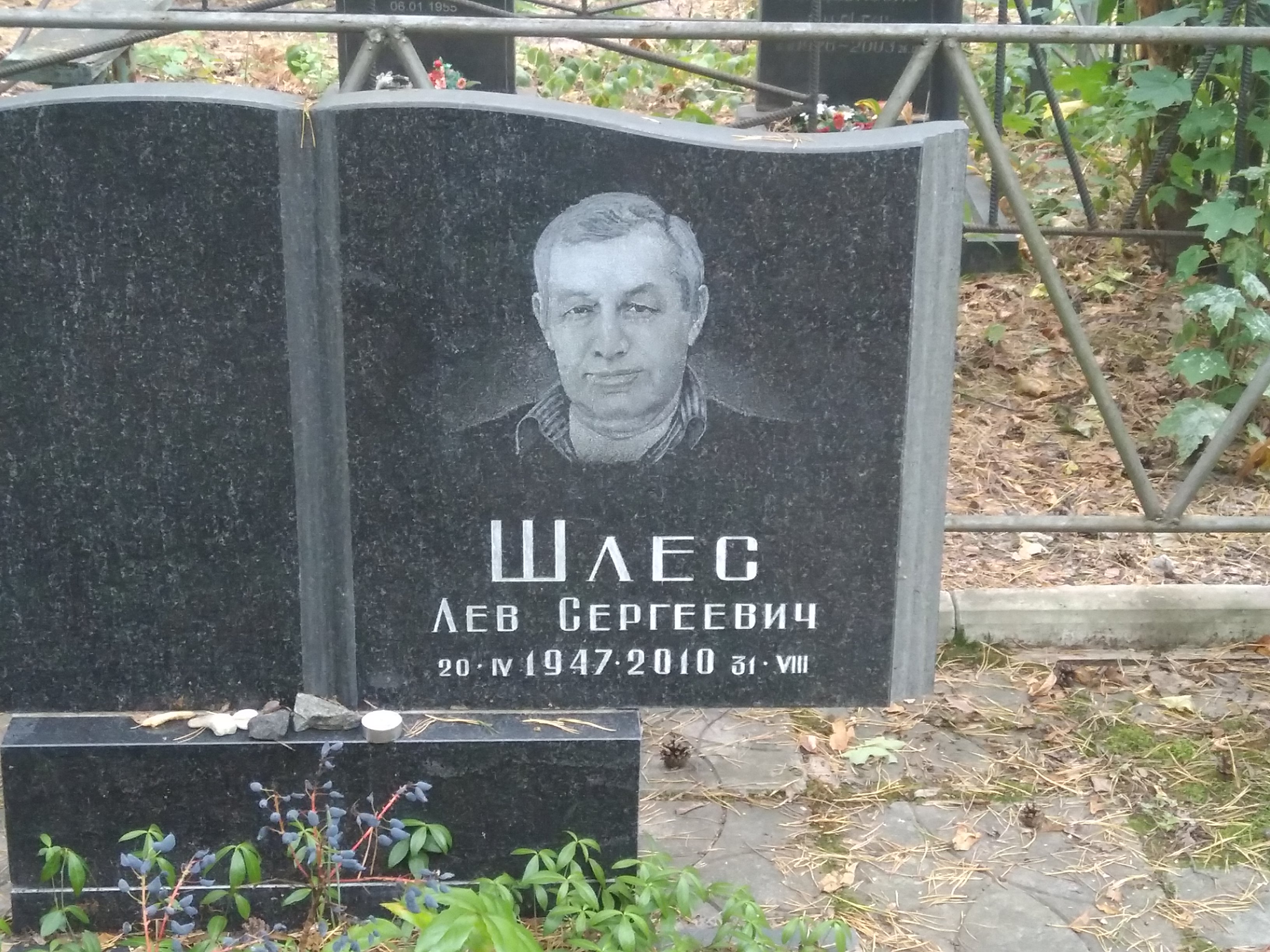 Шлес Лев Сергеевич