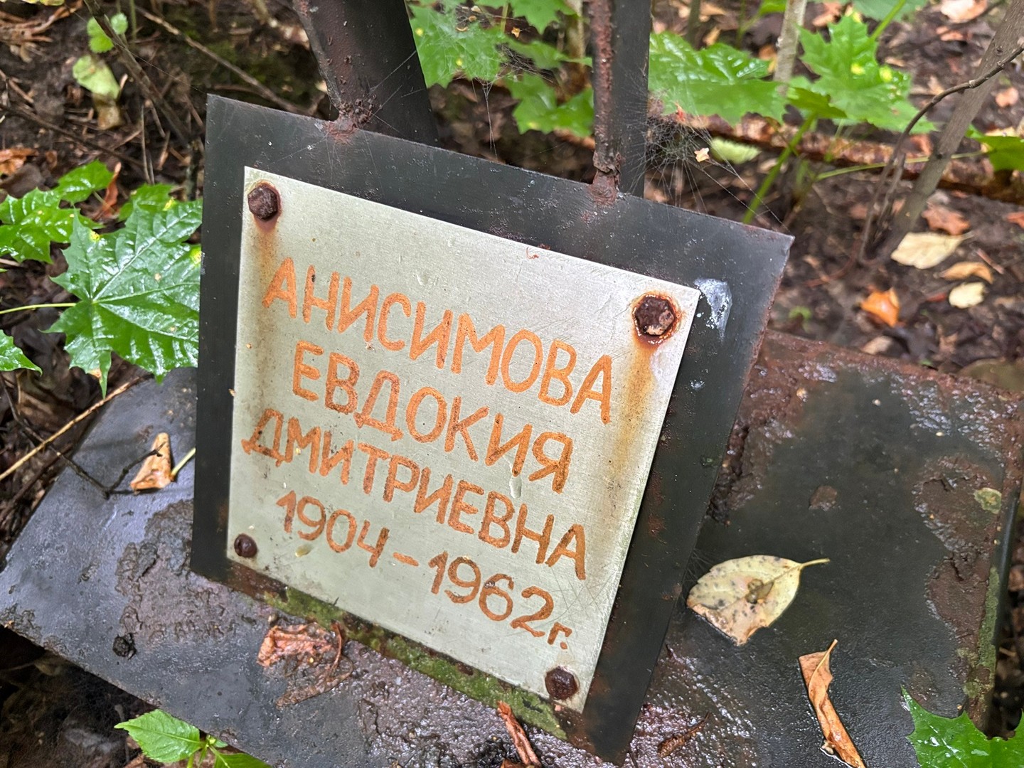 Анисимова
