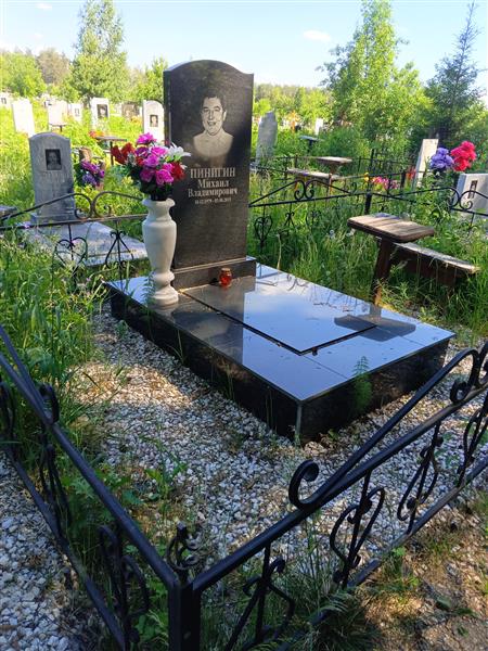 Пинигин Михаил Владимирович