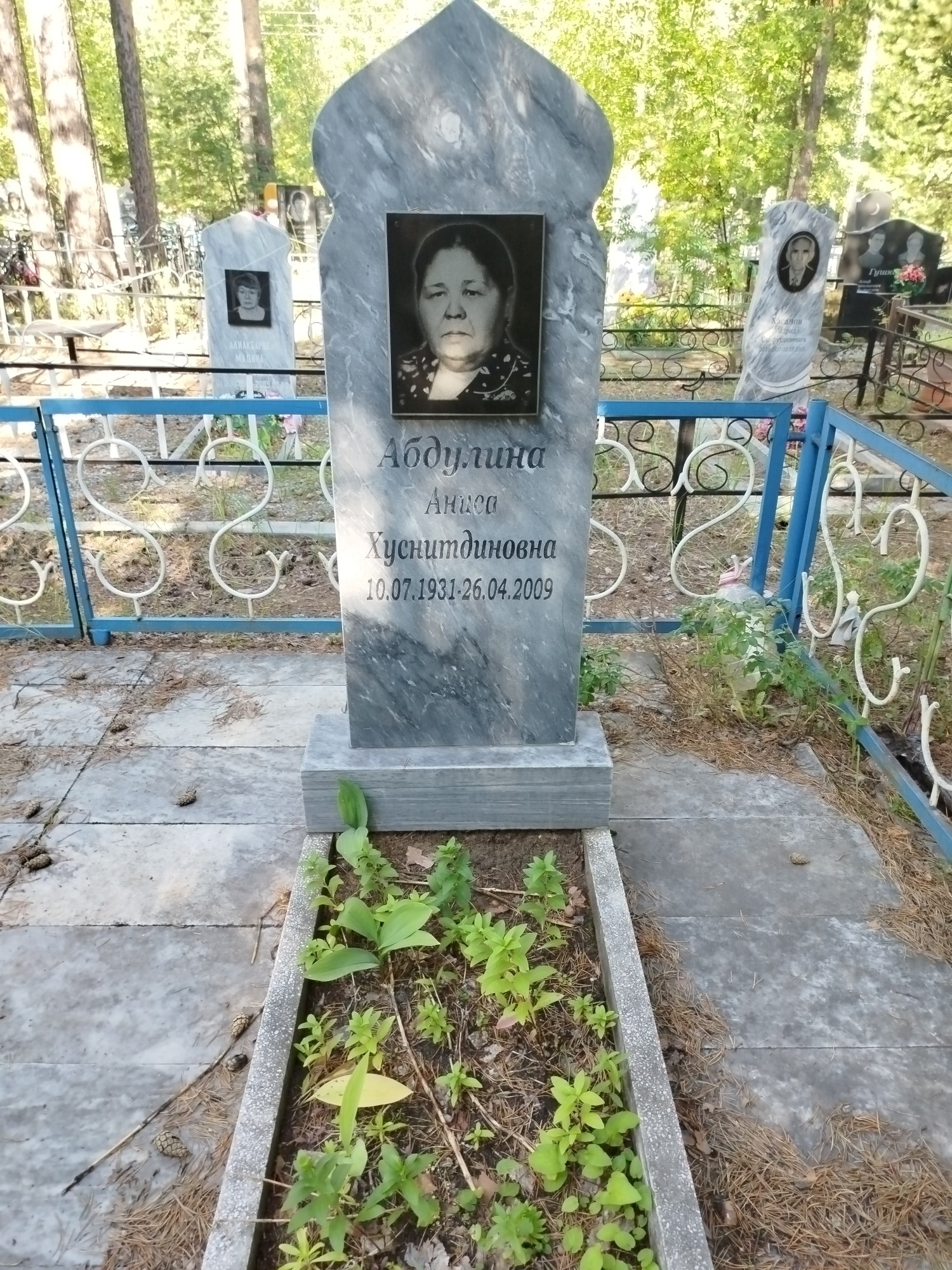 Абдулина Аниса Хуснитдиновна