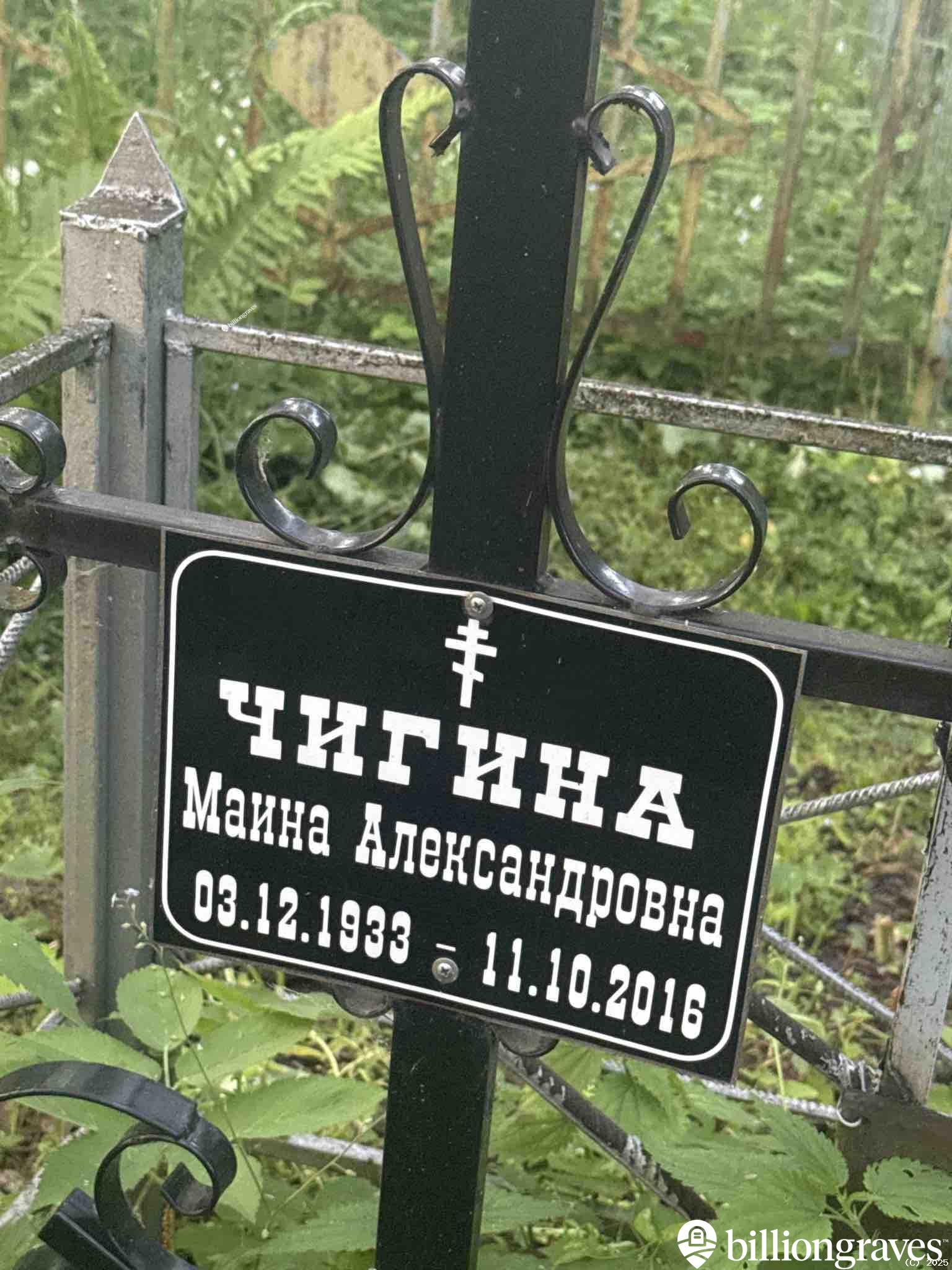 Чигина Маина Александровна