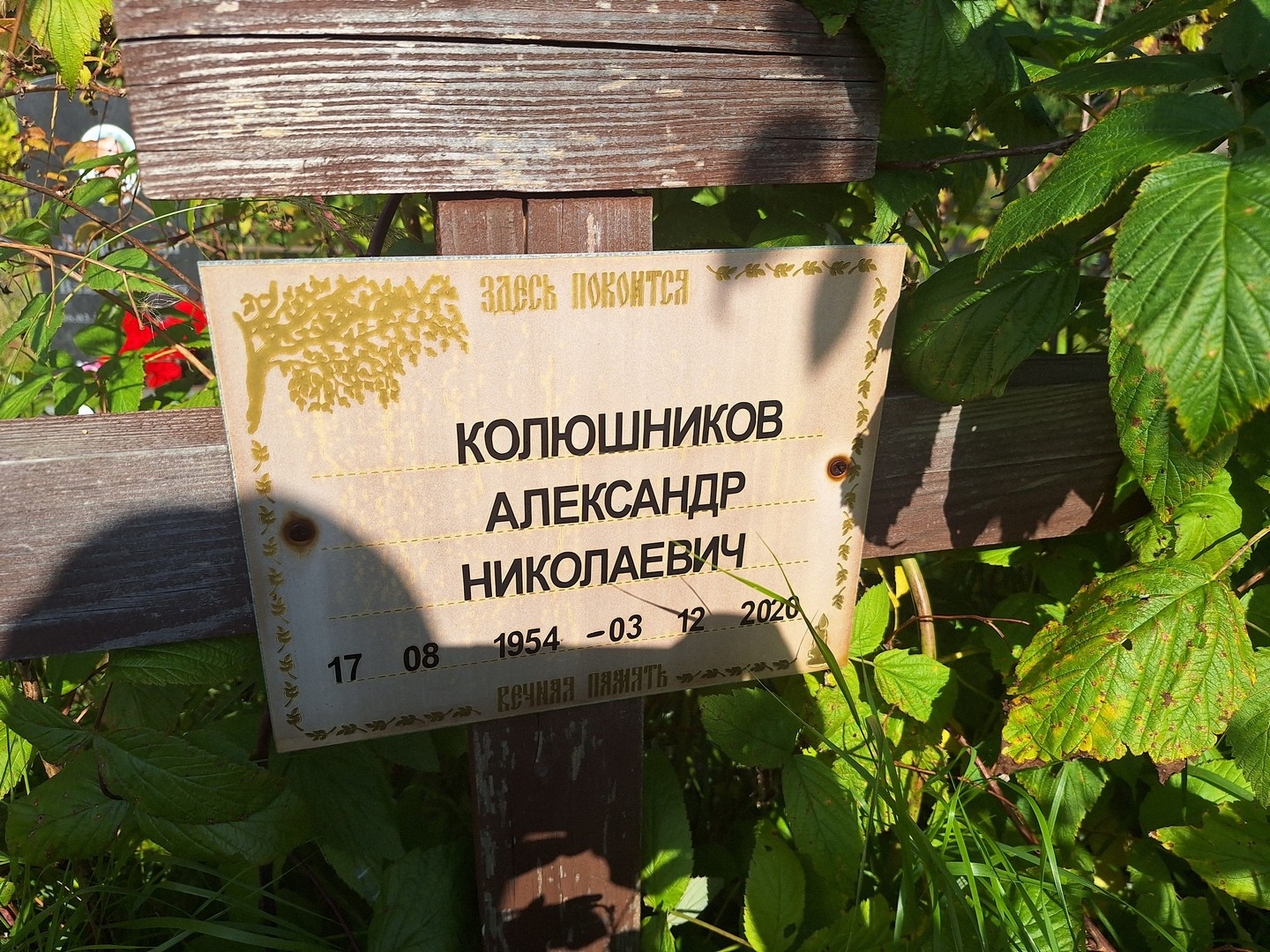 Колюшников