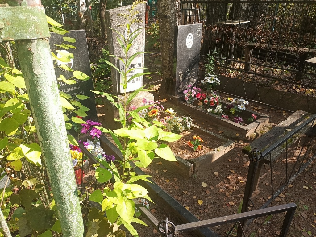 Стародубова Галина Николаевна