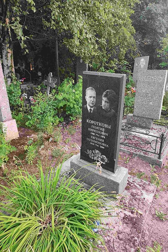 Коротков Георгий Кириллович
