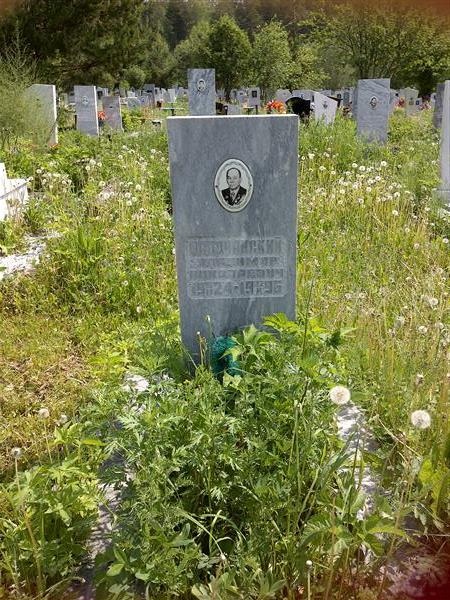 Шапочанский Владимир Николаевич