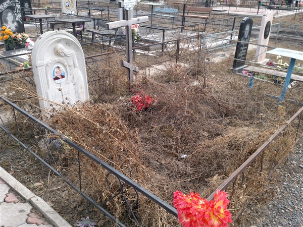 Голев Юрий Владимирович