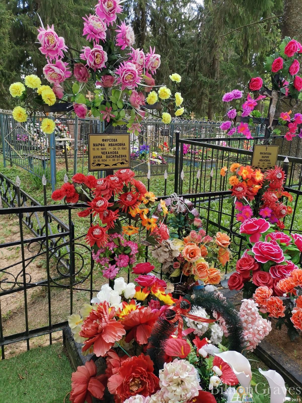 Чеканова Анна Васильевна