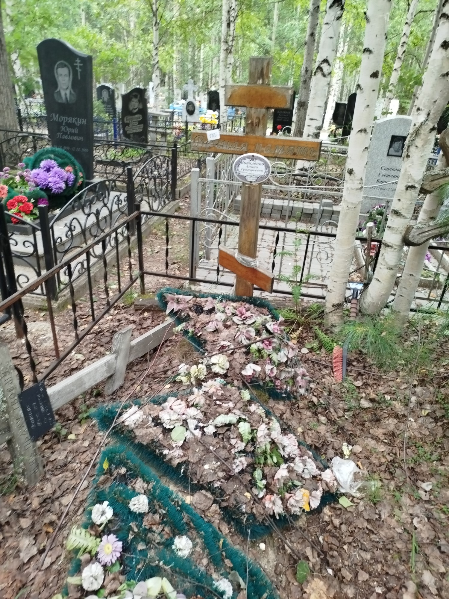 Коваленко Алина Григорьевна