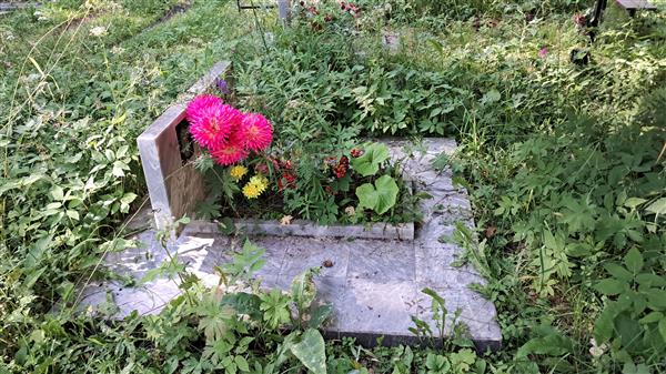 Волков Михаил Николаевич