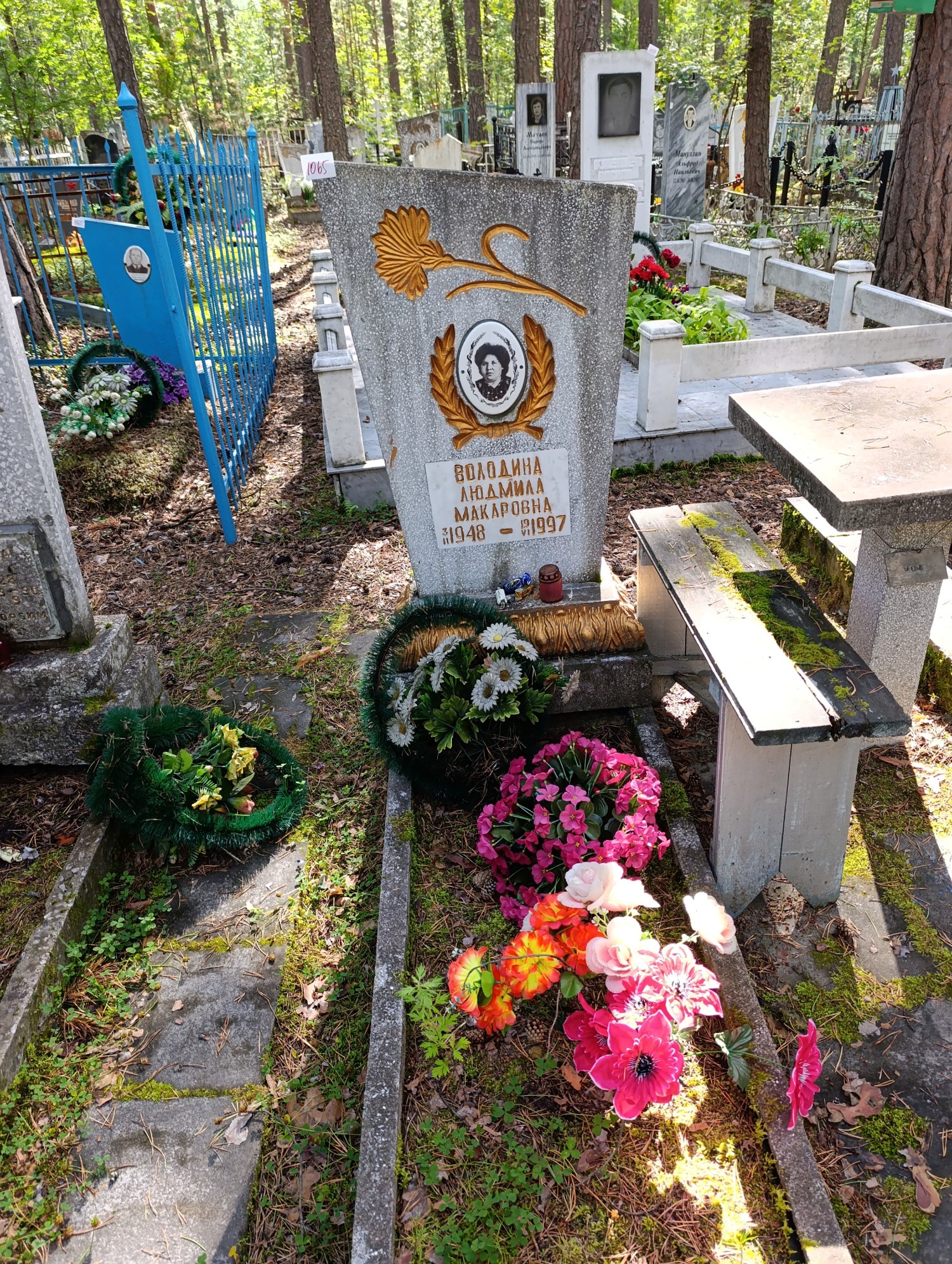 Володина Людмила Макаровна