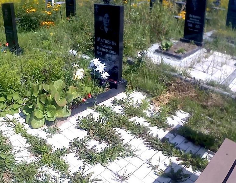 Матвеева Татьяна Николаевна