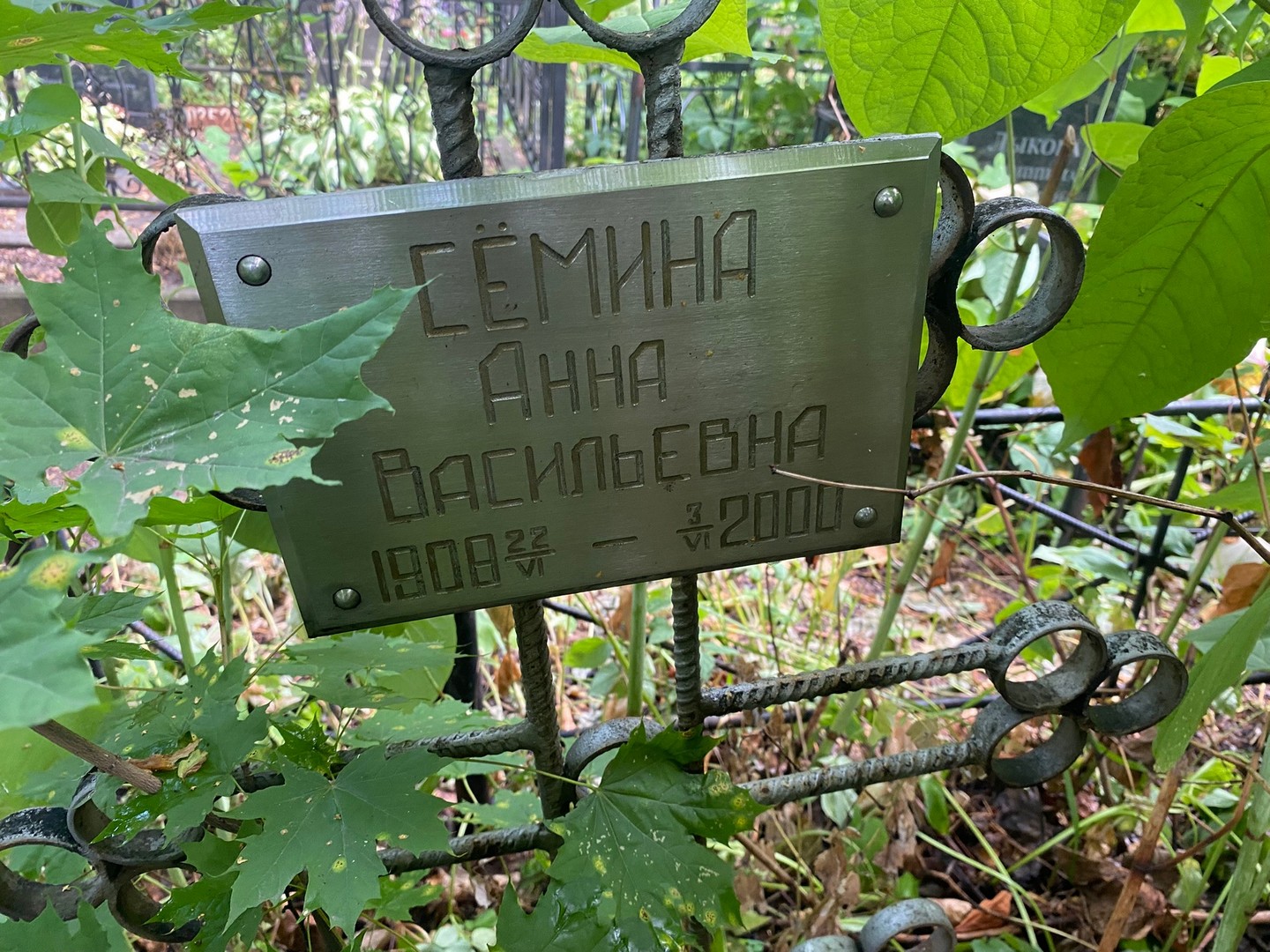 Семина