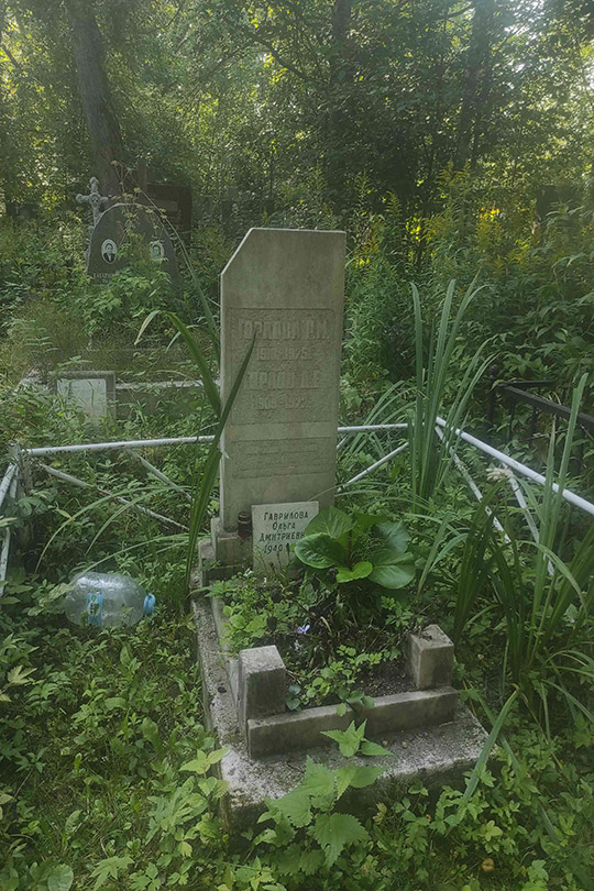 Горлов Д. Е.